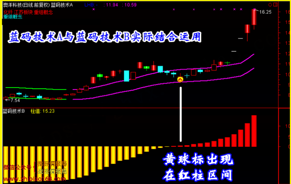 143205sslfh3z94hq9wppl.png