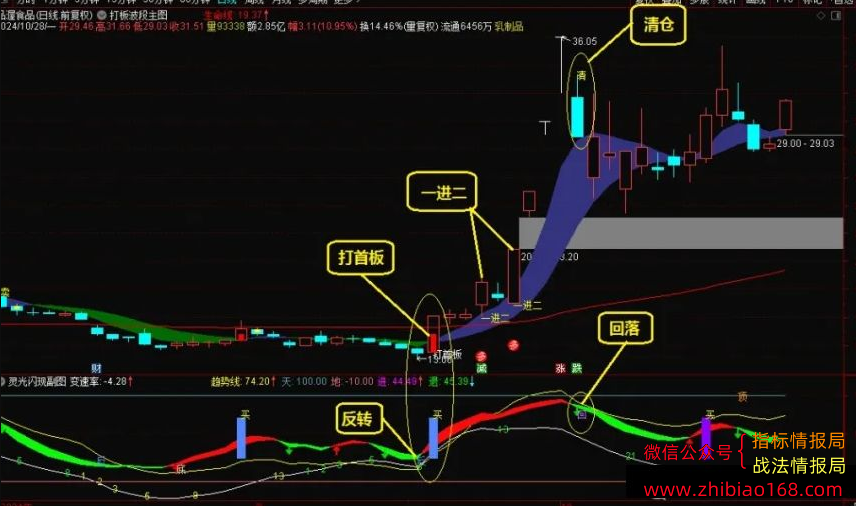 QQ20241031-230924.png