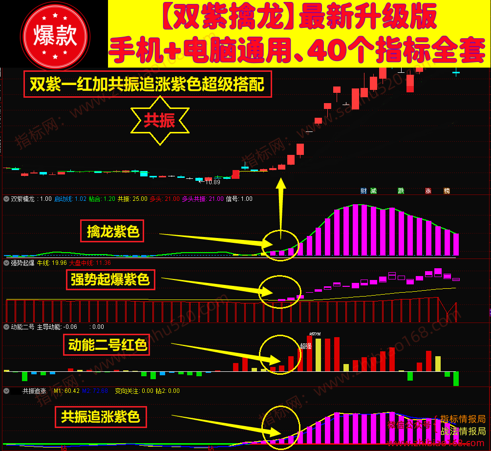 图片13.png